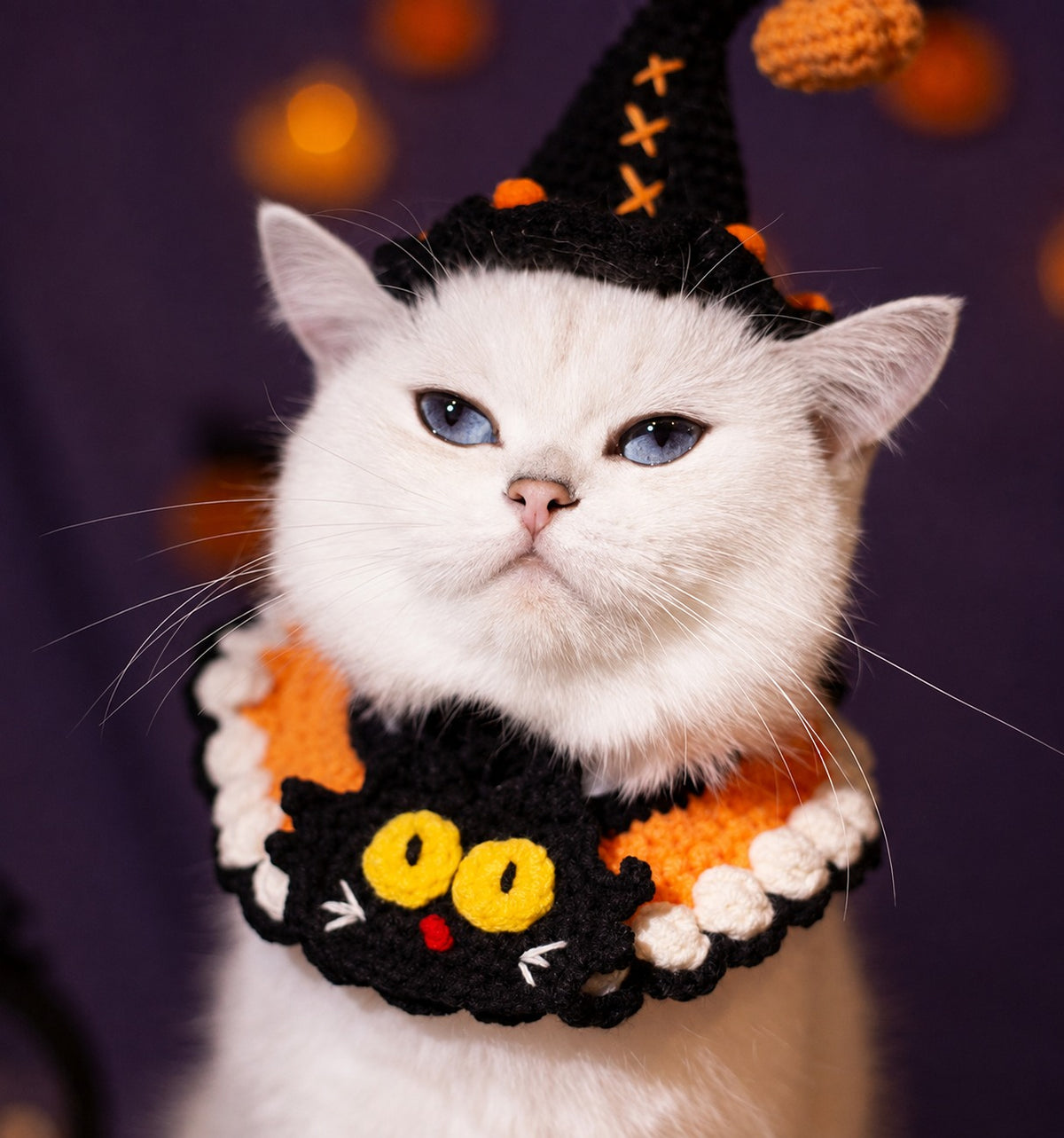 Halloween Witch Hat & Pumpkin Collar Set for Cats & Dogs – Handmade Knit Pet Costume