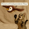 Chirping & Flapping Bird Cat Toy – USB Rechargeable