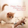 Chirping & Flapping Bird Cat Toy – USB Rechargeable