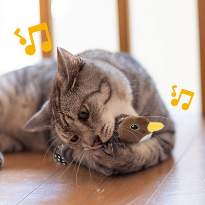 Chirping & Flapping Bird Cat Toy – USB Rechargeable