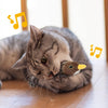 Chirping & Flapping Bird Cat Toy – USB Rechargeable