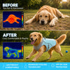 Dog Cooling Vest for Summer