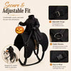 Headless Horseman Cat Costume: 3D Rider Halloween Outfit