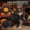 Headless Horseman Cat Costume: 3D Rider Halloween Outfit