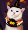 Halloween Witch Hat & Pumpkin Collar Set for Cats & Dogs – Handmade Knit Pet Costume