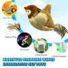 Chirping & Flapping Bird Cat Toy – USB Rechargeable